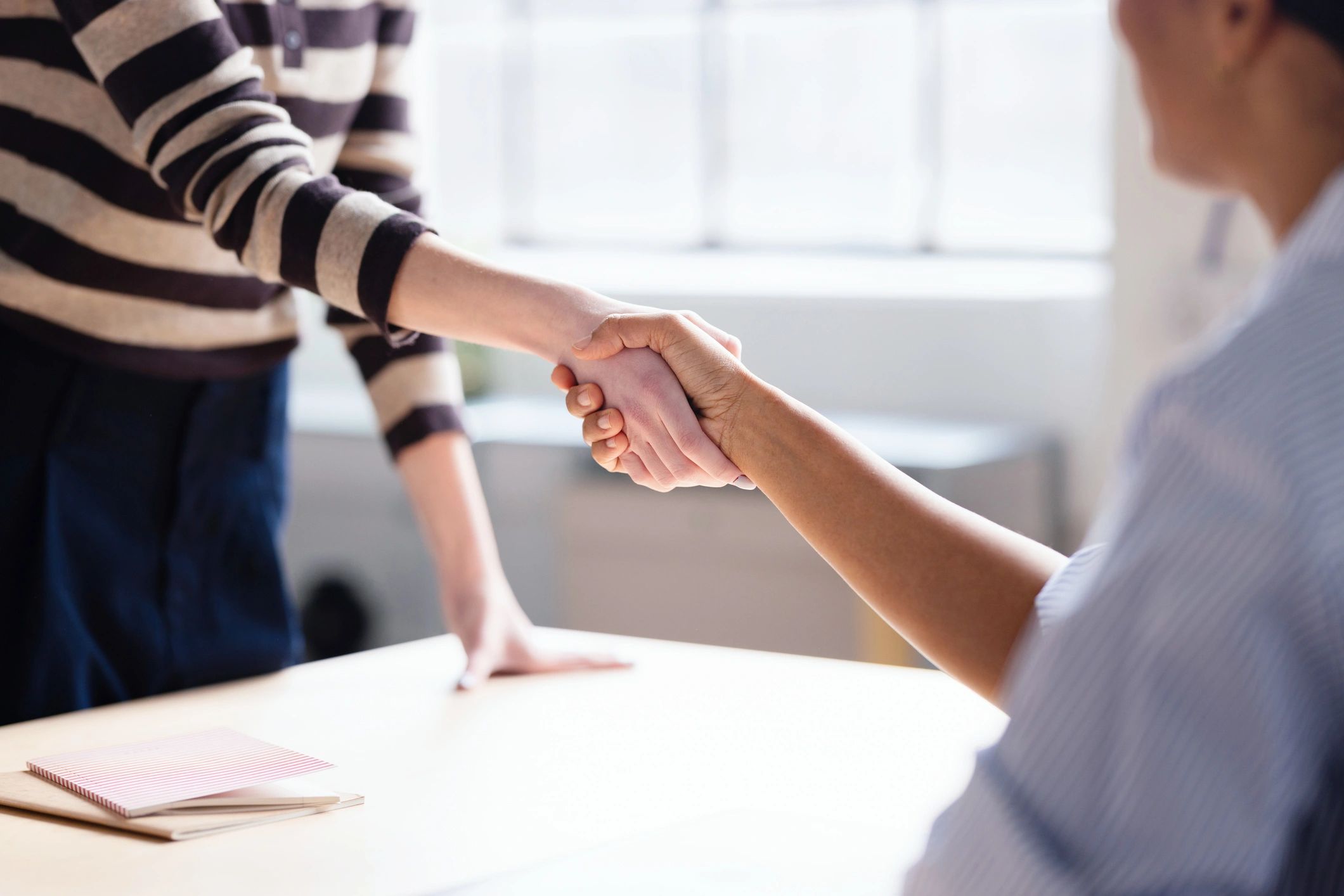 Business colleagues completing a professional agreement with a handshake
